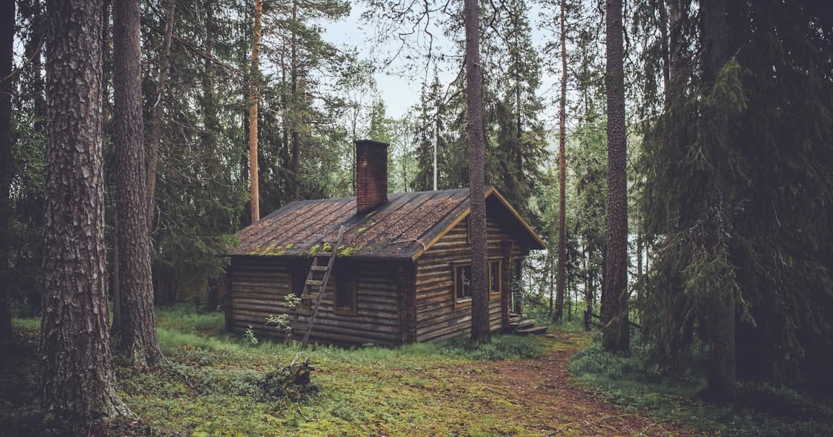 Chalet en bois au milieu de la forêt, entouré de grands pins
