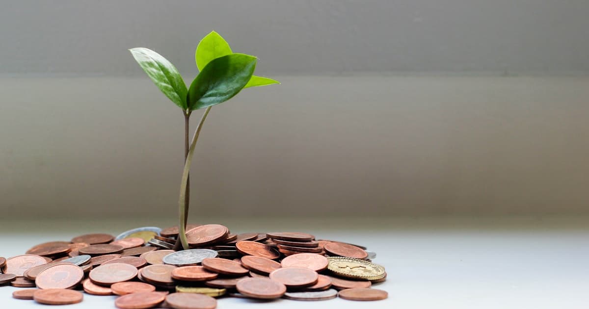 Pièces de monnaie avec une plante verte qui pousse — symbole d'un partage équitable
