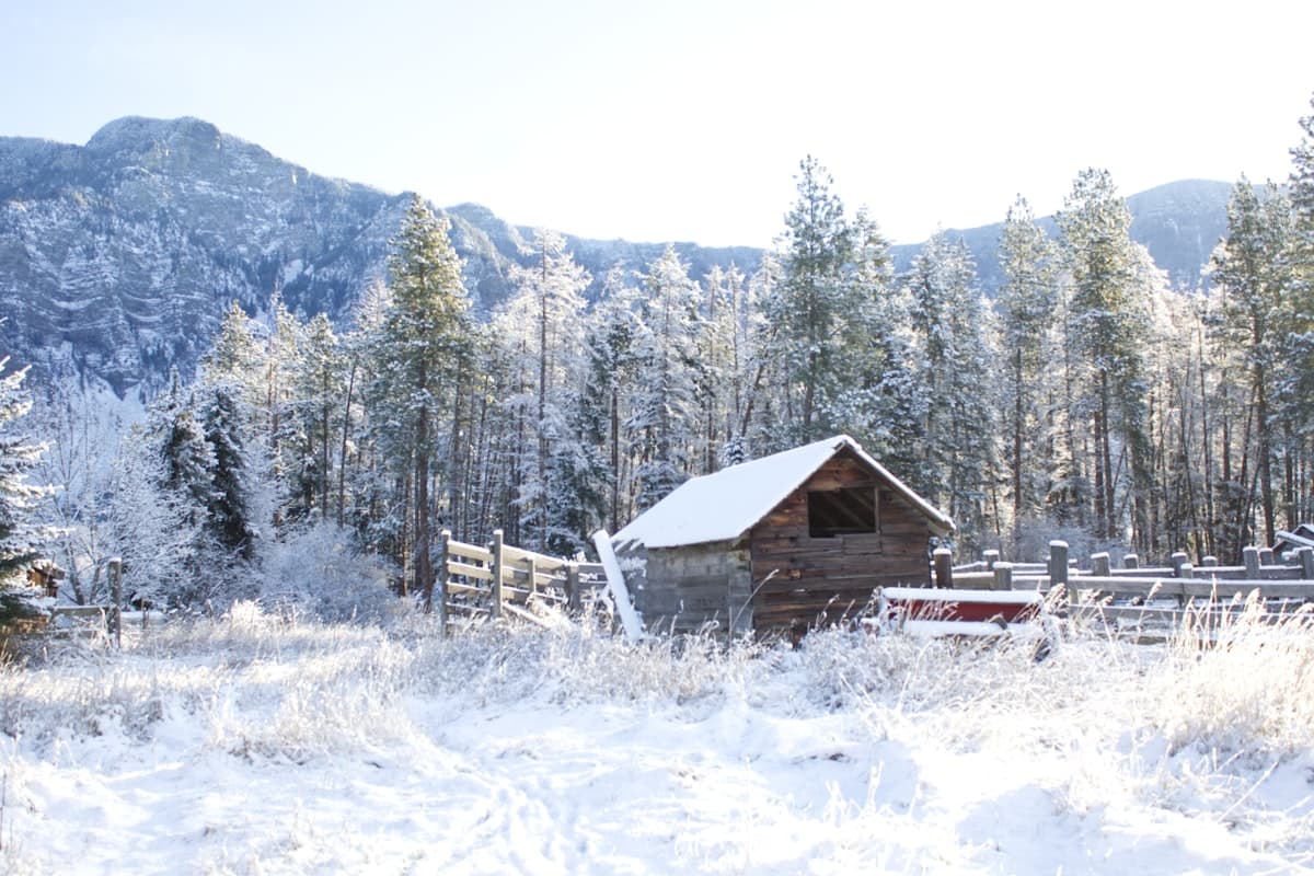 Chalet dans un paysage enneigé avec forêt hivernale en arrière-plan
