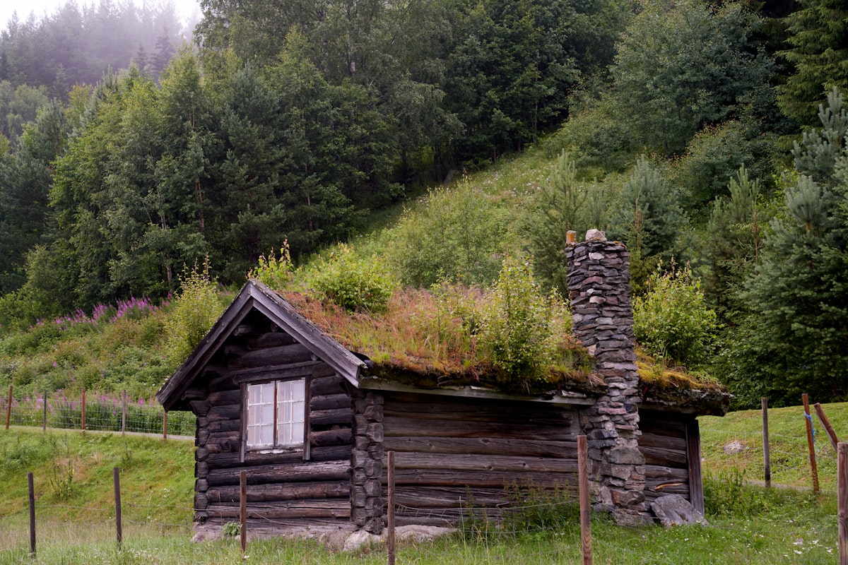 Chalet norvégien traditionnel avec toit végétalisé entouré de paysage verdoyant
